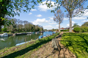 River Thames- click for photo gallery